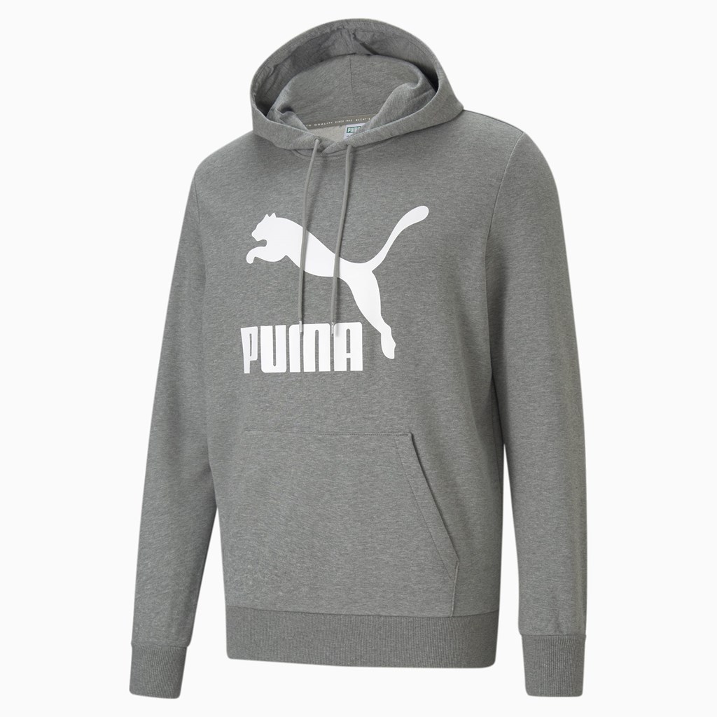 Sweat À Capuche Puma Classics Logo Homme Medium Gray Heather | 8425301-FY