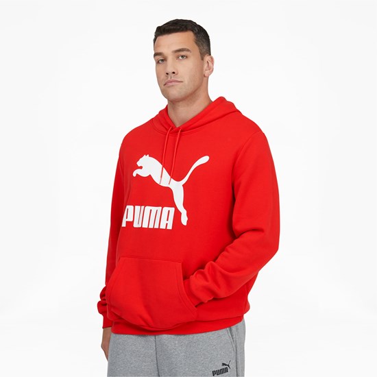 Sweat À Capuche Puma Classic Logo Hoodie FL BT Homme Rouge Blanche | 1269053-EH