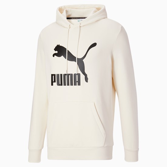 Sweat À Capuche Puma Classics Logo Hoodie FL Homme Ivory Glow | 3092758-EI